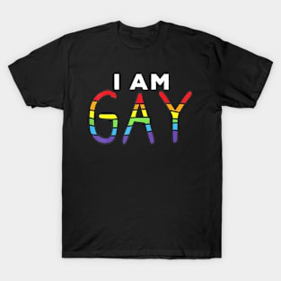 Gay Pride I Am Gay I Am Not Straight T-Shirt